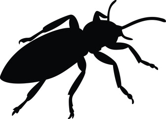 Detailed Insect Silhouette with Six Legs and Antennae on White Background