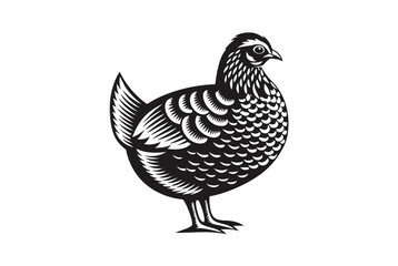 Elegant Black Quail on White Background Detailed Feather Markings