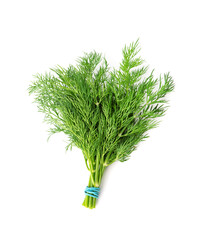 Fresh raw dill bunch isolated on white background.