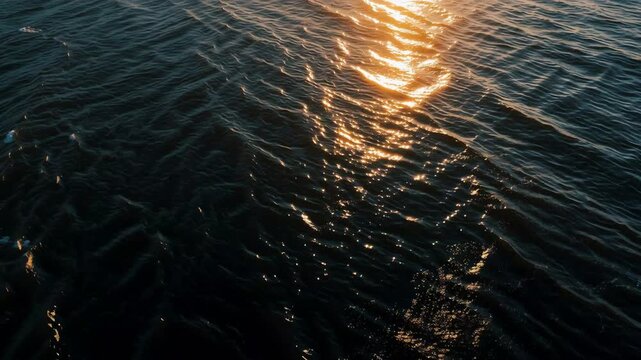 tranquil dark ocean water with golden glimmers sunlight reflection on wave stunning natural scene
