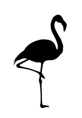 Fototapeta premium Silhouette of a flamingo standing on one leg, showcasing its elegant posture against a white background.