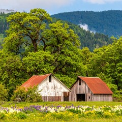 Obraz premium Rustic barns nestled in a springtime meadow, surrounded by lush green trees and rolling hills