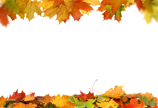 Autumn Maple Foliage Frame PNG.  Fall Leaf Border on Transparent Background