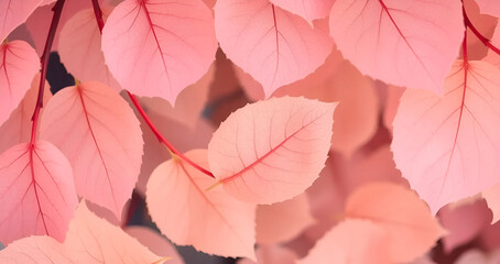 Fototapeta premium potrait transparent pastel-colored hd leaves in soft shades, Generative AI