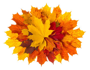 Isolated bouquet of colorful autumn leaves, a festive arrangement for seasonal projects on a pure white background.