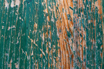 Rough, scratched pine wood door painted on green close up shot for background.