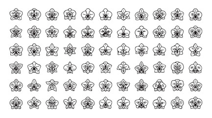 Collection of intricate floral and abstract ornamental designs in a detailed silhouette pattern