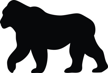 Silhouette of Walking Gorilla in on White Background, Wildlife Animal