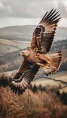 Majestic eagle soars through mountain air, showcasing its graceful dive and strength