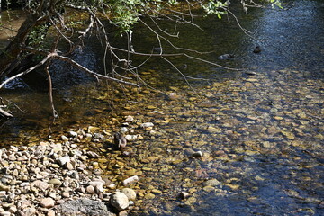 Boca del asno , Segovia