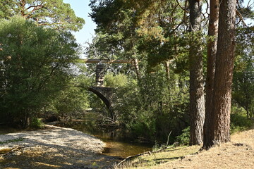 Boca del asno , Segovia