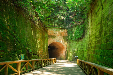神奈川県横須賀市の無人島 猿島公園