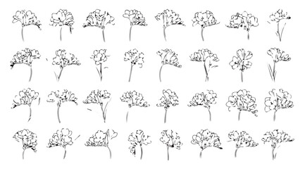 Collection of hand drawn tree silhouettes in a grid layout