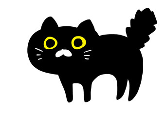 怒った黒猫