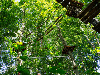 A close-up shot of a high rope course suspended in the forest, showing a wooden platform and a taut zip line, under a bright blue sky.