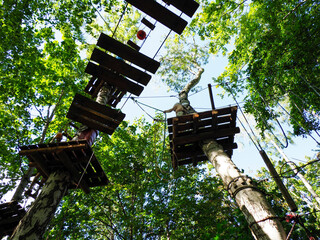 A high-angle shot of a high ropes course featuring a complex network of wooden platforms and ropes, suspended among the tall trees of a forest.
