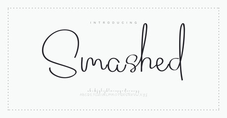 Smashed Script Elegant Signature Typeface. Lettering signature font isolated on background. brush style alphabet. Vector logo letters.
