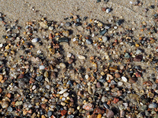 Detailed macro shot of a wet sandy beach showing the intricate mix of fine sand and various small,...