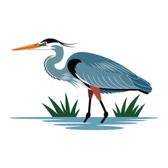 heron on a white background
