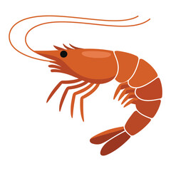 shrimp on white background