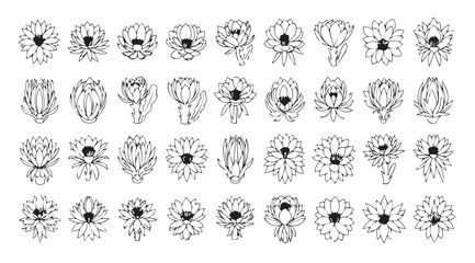 Collection of abstract floral line art silhouettes in a grid pattern silhouette