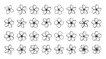 Collection of hand drawn plumeria flower silhouettes in black and white