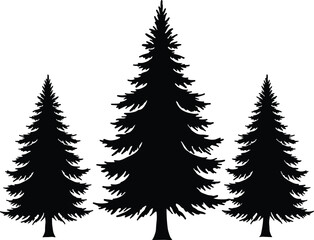Black silhouette pine trees group, evergreen forest icons, Christmas tree set, winter holiday decoration, nature vector symbols, tree silhouettes