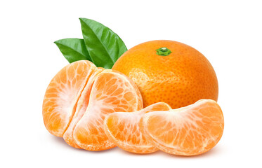 みかん イラスト リアル 果物