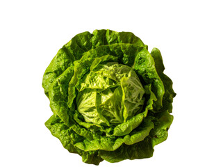 Obraz premium Romaine Lettuce Styled with Seasonal Décor PNG