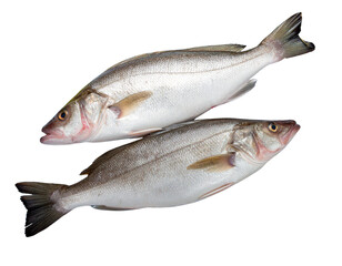 Seafood Market Style Raw Haddock PNG