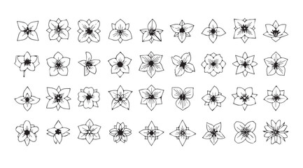 Collection of intricate floral and geometric designs in silhouette