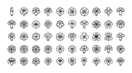 Collection of intricate floral and botanical ornament designs in silhouette style