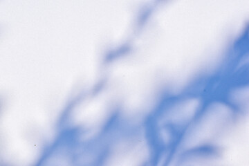 Shadow background
