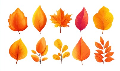 A collection of ten stylized autumn leaves, varying in shape and color, arranged in two rows on a white background, conveying a seasonal feel