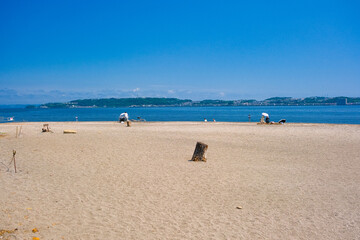 神奈川県横須賀市の無人島 猿島にあるビーチ、猿島海水浴場