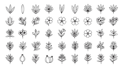 Collection of stylized botanical illustrations in a distinctive silhouette style