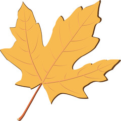 Obraz premium Yellow Maple Leaf Clipart, Autumn Vector Illustration