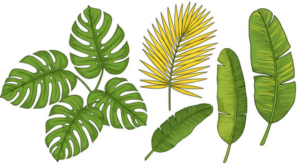 Tropical Green Leaves Illustration Set Monstera Palm Banana Plants