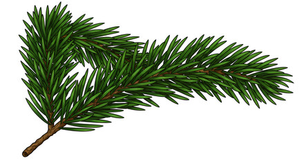 Evergreen Pine Branch with Green Needle Leaves on Brown Stem
