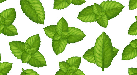 Fresh Green Mint Leaves Pattern on White Background for Culinary and Herbal Use