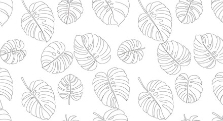 Monochrome Line Drawing of Tropical Monstera Leaves on White Background for Botanical Design