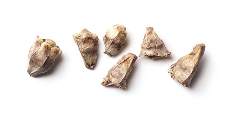 Fototapeta premium Five dried seed pods are arranged in a row on a white surface. The pods are light brown and textured, with irregular edges and a slightly rough surface
