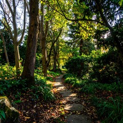 Obraz premium Sunlight Path Through Autumn Woods