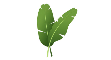 Bright Green Banana Leaf on White Background for Nature and Eco Friendly Designs