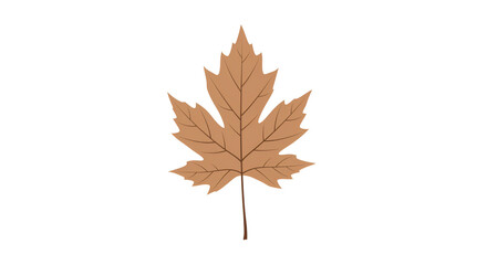 Brown Maple Leaf Isolated on White Background for Autumn and Nature Themes