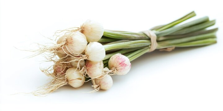 A bunch of scallions is tied together with green stems and rests on a white surface. The scallions have a pale white bulb with pink tips. The roots are visible and spread out from the base of the bunc