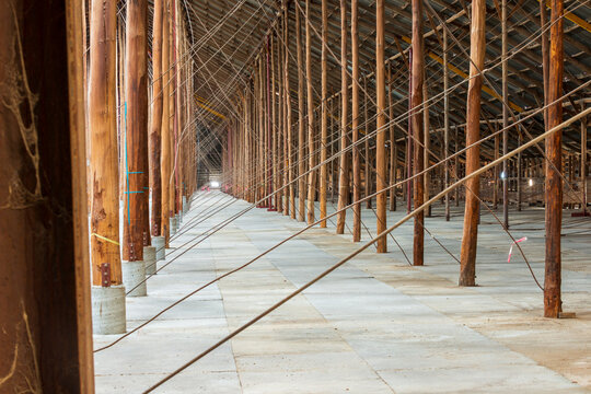 Interior of historic stick shed with rows of timber poles and bracing wires.