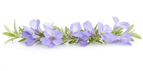Obraz premium A close-up shot of a sprig of purple flowers, likely rosemary, resting on a white surface. The flowers are small and delicate, with a light lavender hue. The stems are green and slightly glossy. 