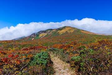 秋色に染まる　栗駒山の絶景