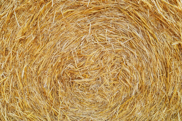 Close up photo of a hay bale, natural background.